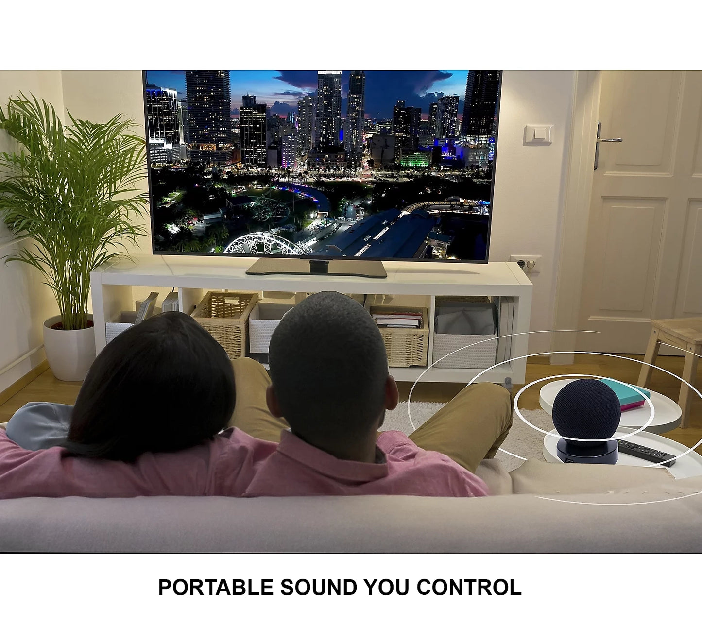 HearSound Soundball Wireless Portable TV Sound Enhancing Speaker