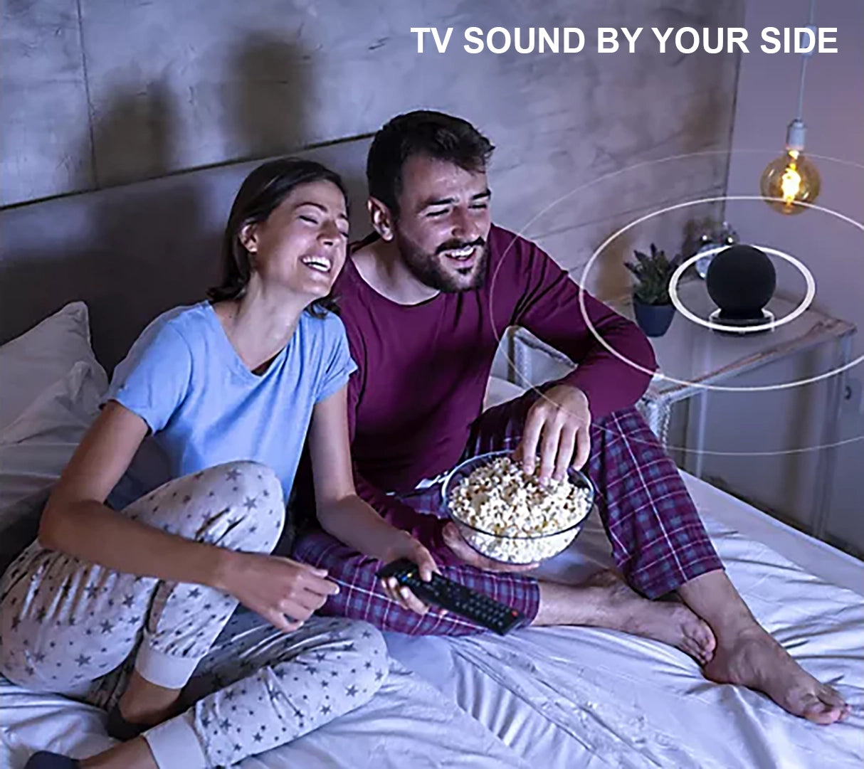 HearSound Soundball Wireless Portable TV Sound Enhancing Speaker